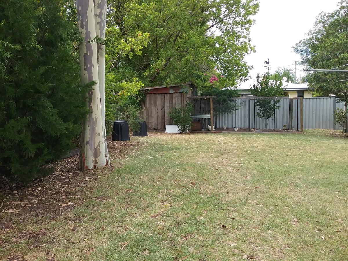 Langley Cottage B&B Coonabarabran Exterior foto